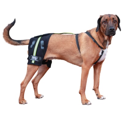 Hip-EEZ - Abrazadera de cadera canina Walkin Pets