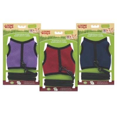 Living World Set Arnes Y Correa Peq Animales