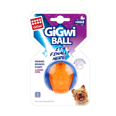 Pelota Gigwi