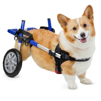 Silla de ruedas Corgi, Walkin Pets