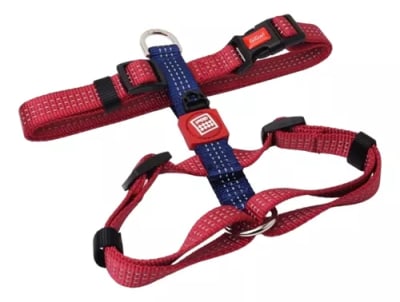 Arnés Linea Clásica Gigwi Burdeo L