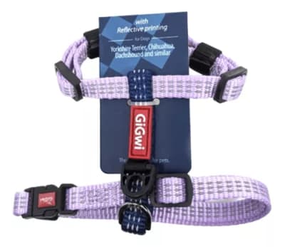 Arnés Linea Clásica Gigwi Lila S