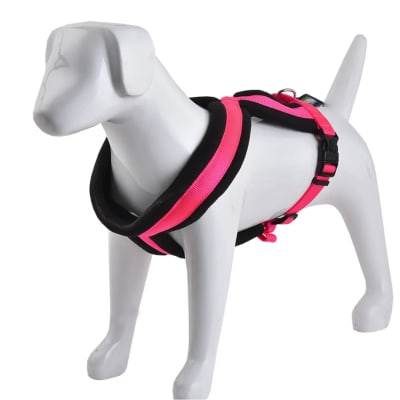 Arnes Cruzado Acolchado Fucsia Mascan