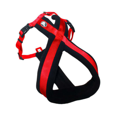 Arnes Cruzado Acolchado Rojo. Mascan