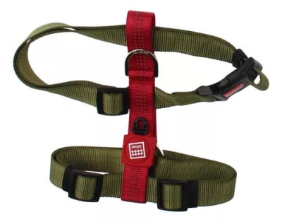 Arnés Linea Clásica Gigwi Verde-Burdeo XL