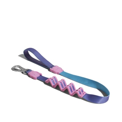 Zeedog Ruff Leash Aurora