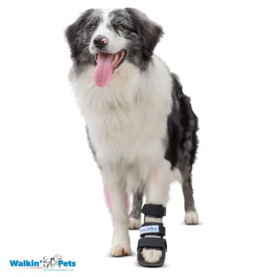 Bootie splint Walkin Pets