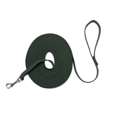 Correa cotton web dog training