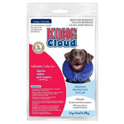 Kong Cloud