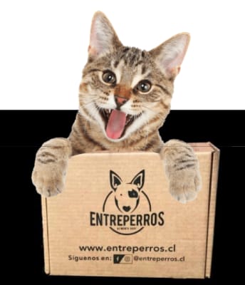 Alimento crudo Entreperros - Menu para gatos 4 Kg