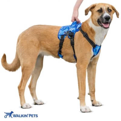 Arnes de soporte delantero Buddy Up - Walkin pets