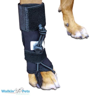 Corrector propioceptivo delantero - No Knuckle Training Sock