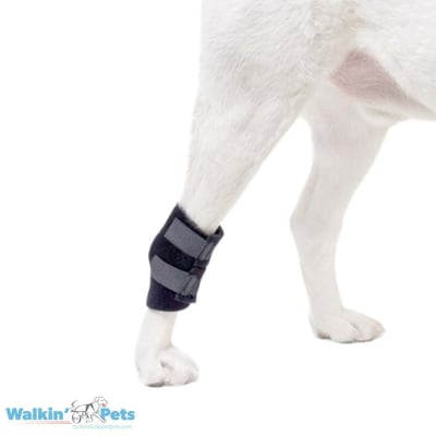 Venda para corvejones Walkin Pets