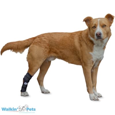 Walkin' Hock Hugger - Abrazador de corvejones Walkin Pets