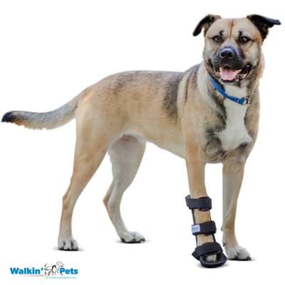 Férula delantera Walkin Pets
