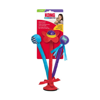 KONG Connects Bat'n spring