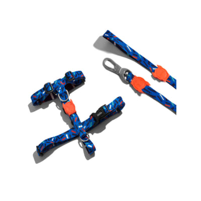 Zeecat Set Arnes H y Correa Atlanta