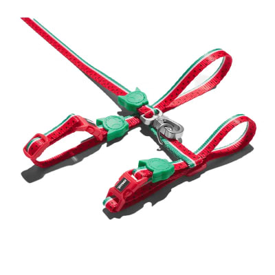 Zeecat Set Arnes H y Correa Lola