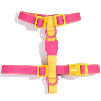Zeedog H Harness Neopro Lyra