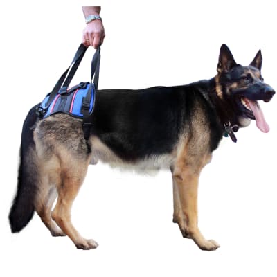 Walkin' Lift Combo trasero - Arnes trasero