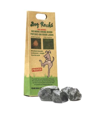 Dog Rocks
