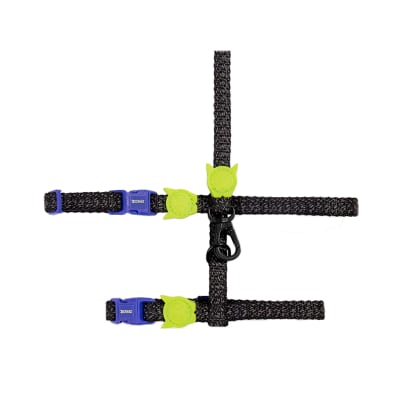 Zeecat Set Arnes H y Correa Nox