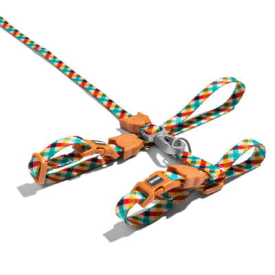 Zeecat Set Arnes H y Correa Phantom