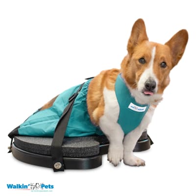 Scooter Con bolsa de arrastre Walkin Pets