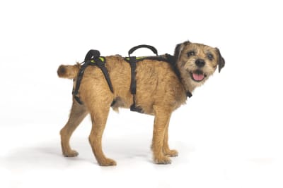 Arnes completo - Help 'Em Up - Full Harness
