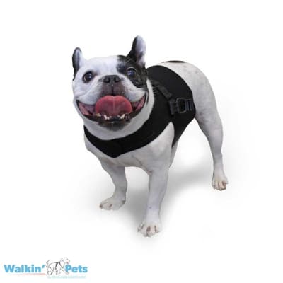 Chaleco Arnes delantero - Vest Harness Walkin Pets