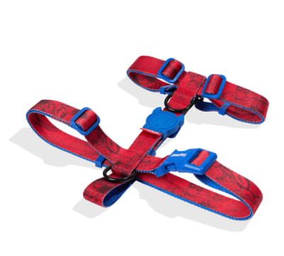 Zeedog H Harness Spiderman