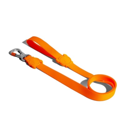 Zeedog Leash Tangerine
