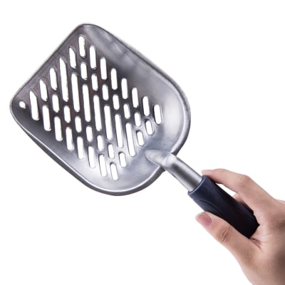 The Poop scoop