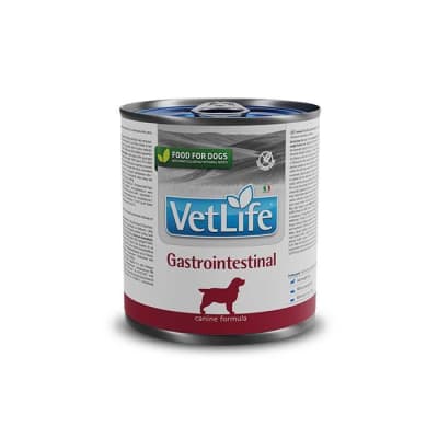 Lata Vet Life Gastrointestinal Dog