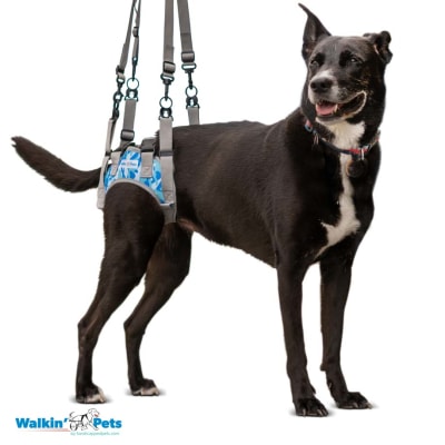 Warrior Rear Harness - Camo Arnes trasero