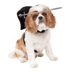 Halo para perro Ciego Muffin's