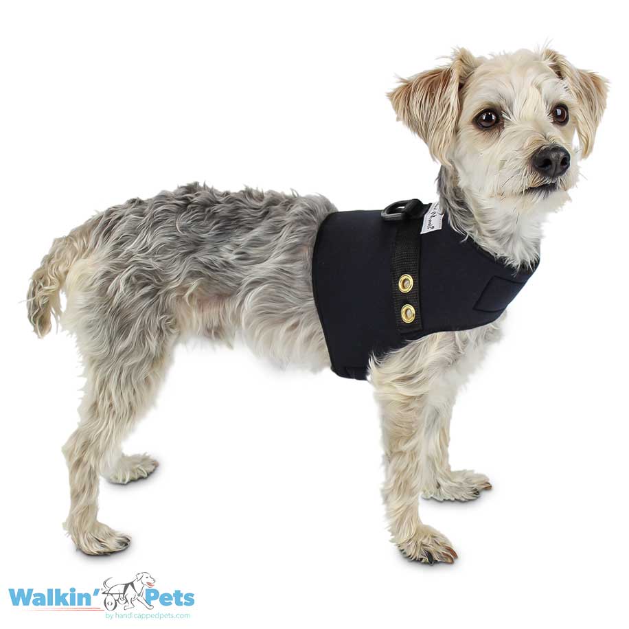 Chaleco Arnes delantero - Vest Harness Walkin Pets2