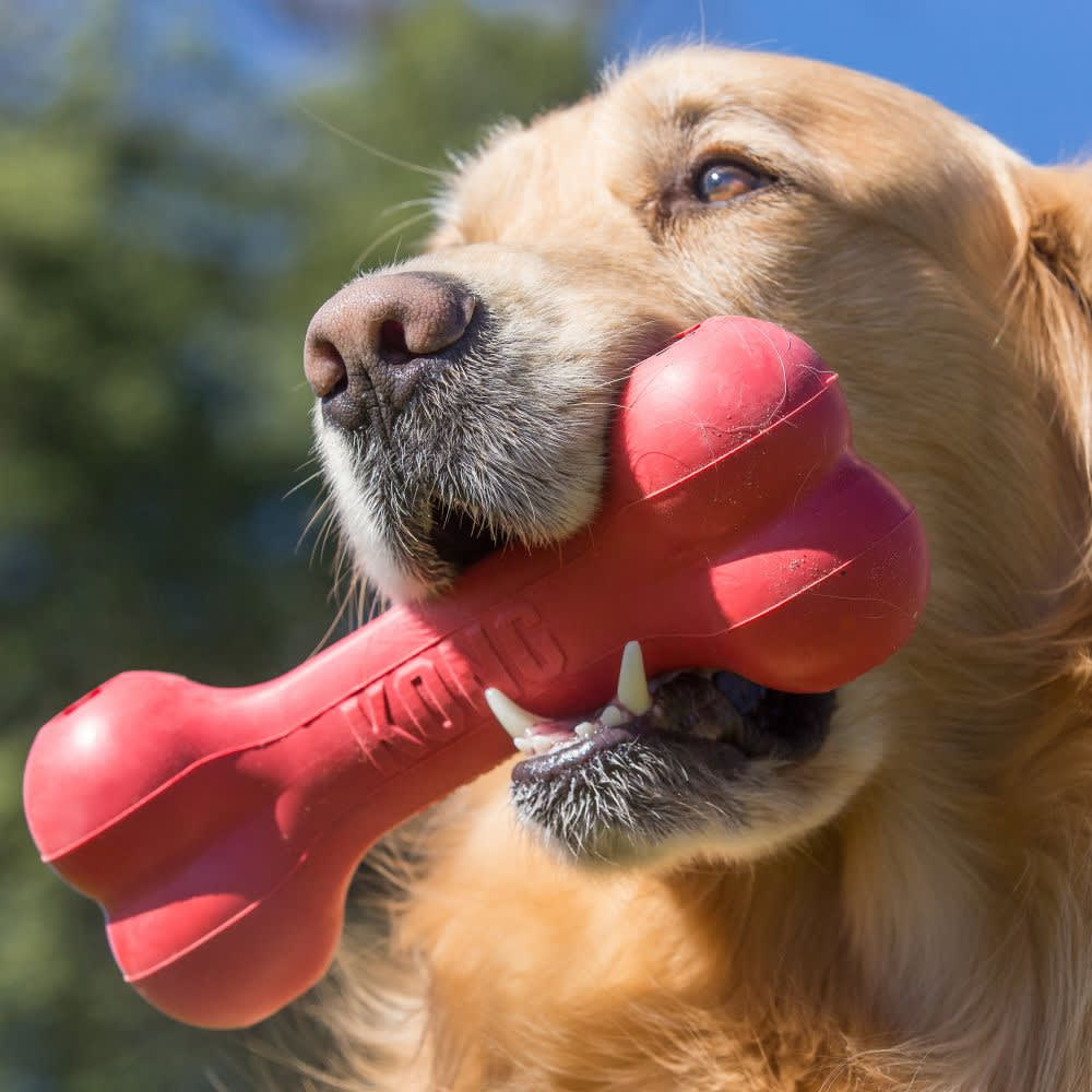 Kong Goodie Bone2