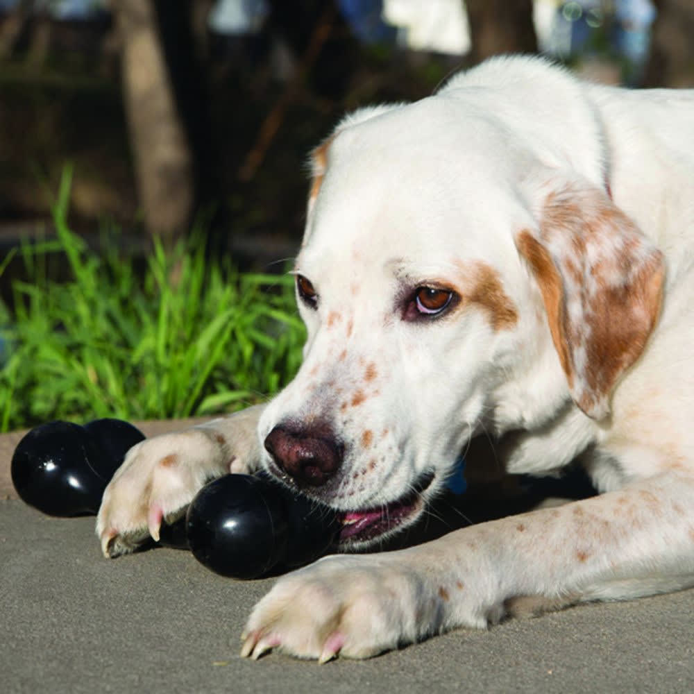 Kong Goodie bone Extreme2