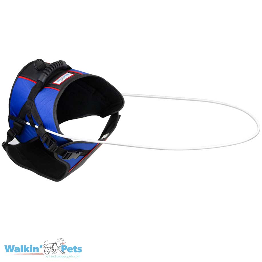 Arnes con Halo para ciegos Walkin Pets - Perros sobre 14 Kg1