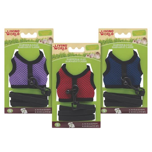 Living World Set Arnes Y Correa Peq Animales2