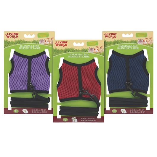 Living World Set Arnes Y Correa Peq Animales1