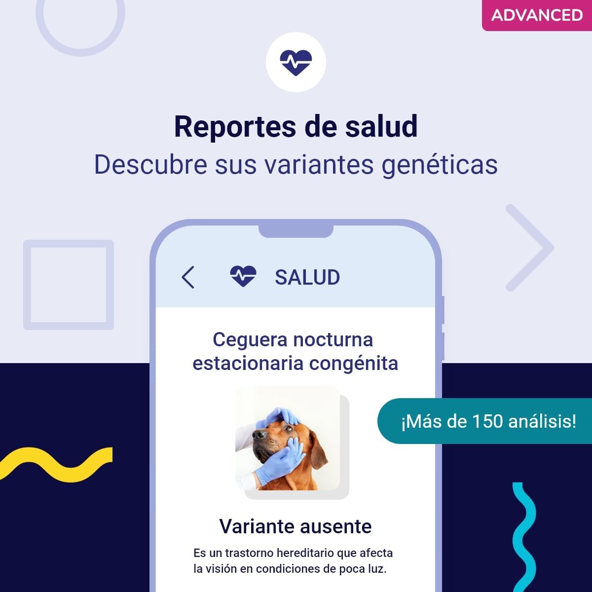 Test ADN Advance Perro Koko genetics4