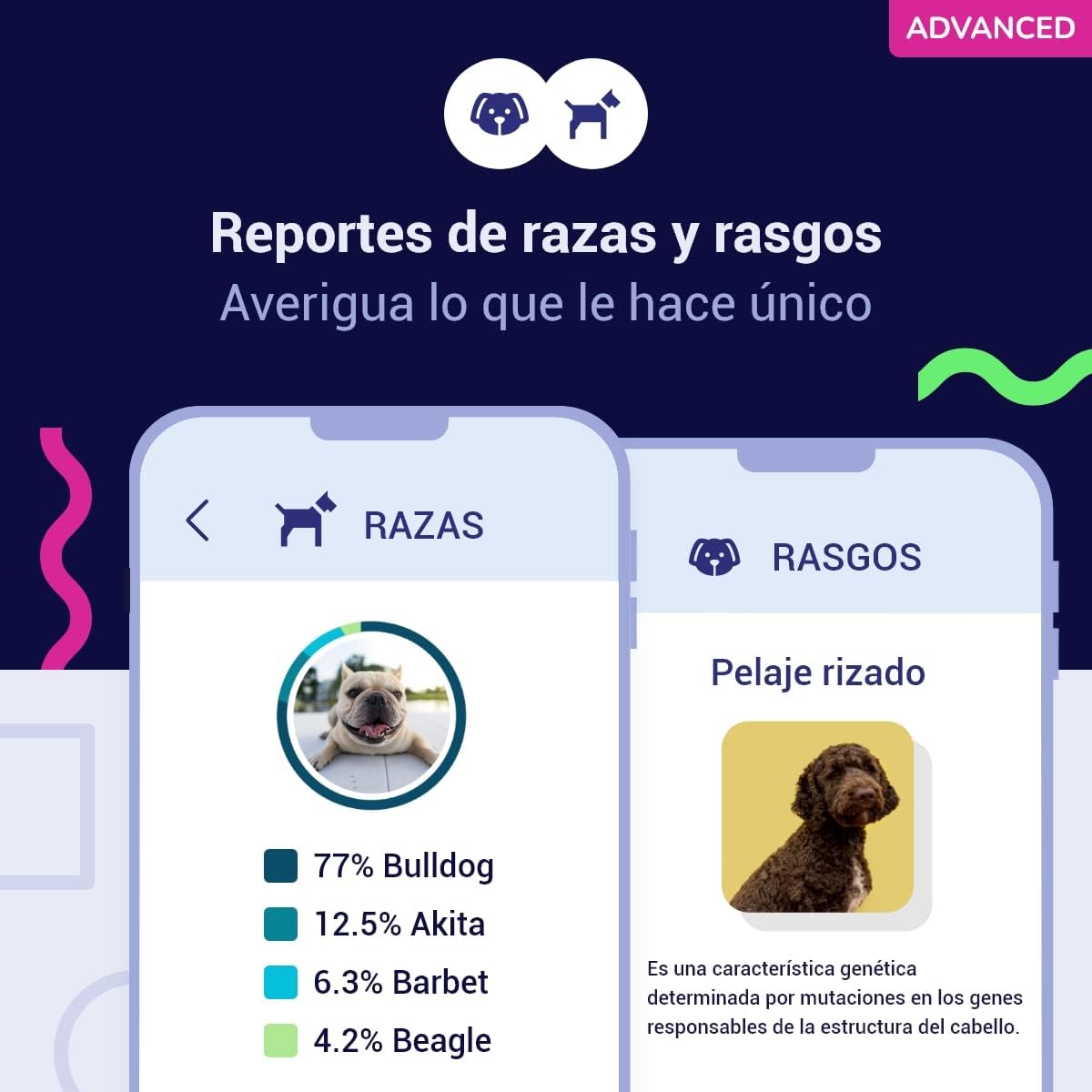 Test ADN Advance Perro Koko genetics2