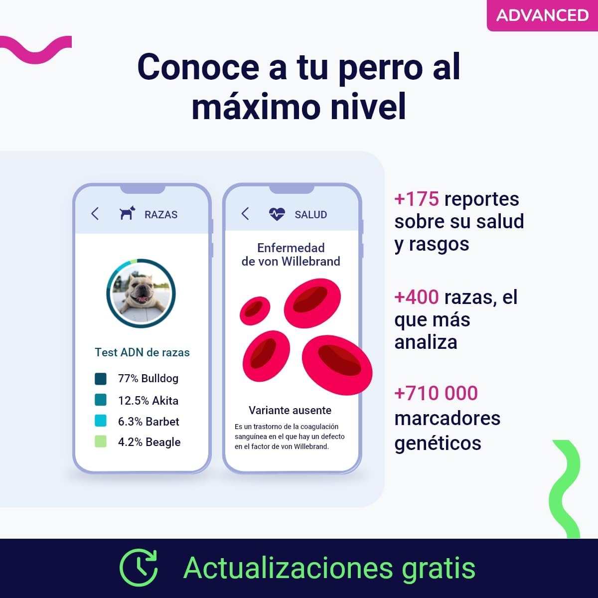 Test ADN Advance Perro Koko genetics6