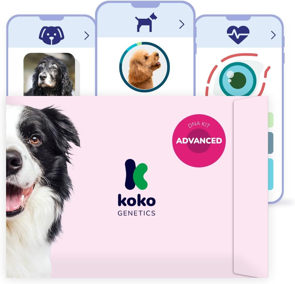 Test ADN Advance Perro Koko genetics1
