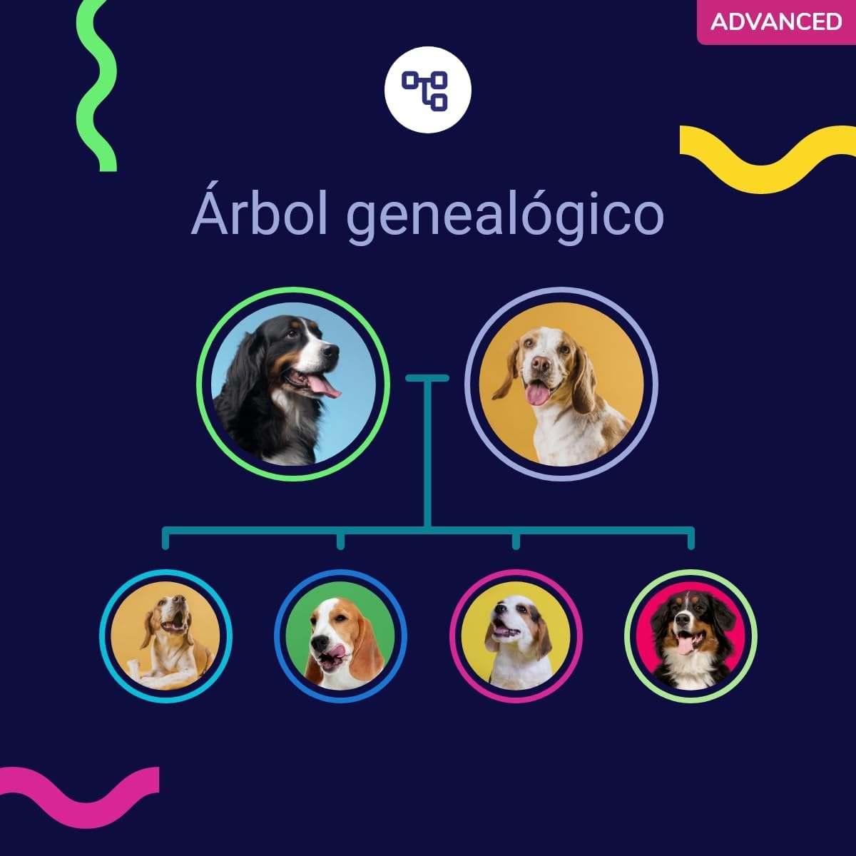 Test ADN Advance Perro Koko genetics7