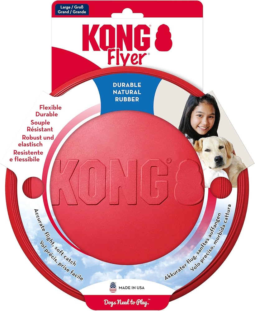 Kong Flyer1