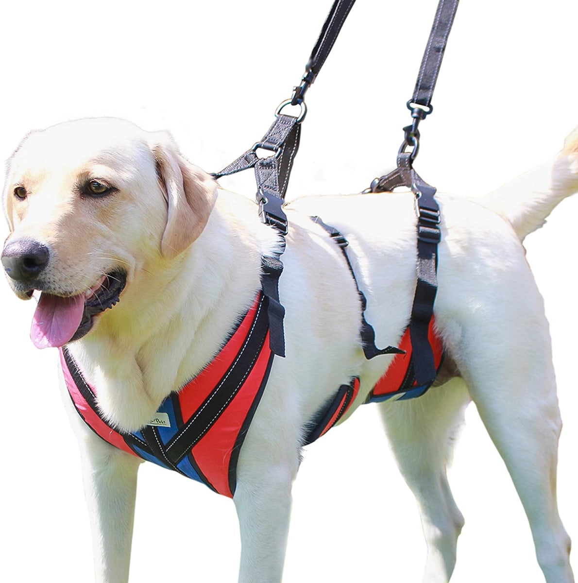 Arnes de soporte Lift-n-Step Walkin pets6