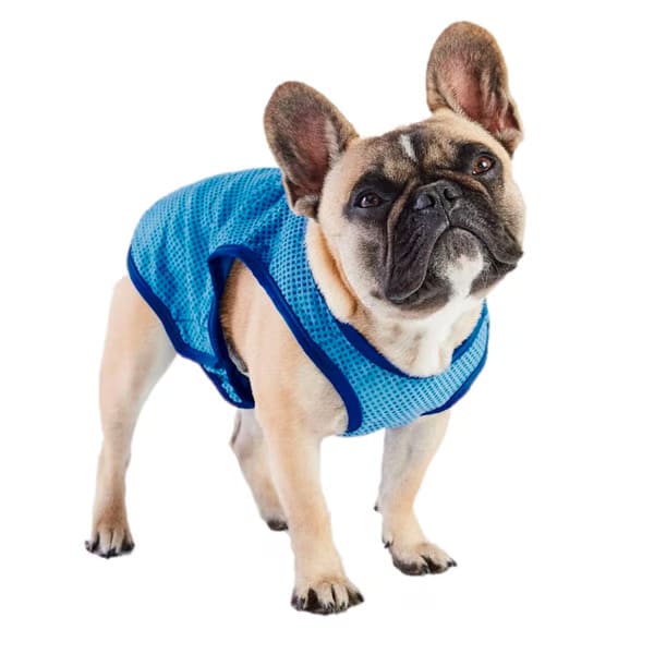 Ice vest - Chaleco refrigerante GF pet1